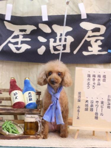 20240619ラムちゃん